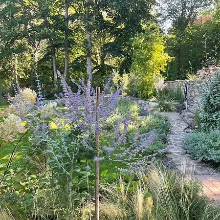 Two Pines Summer House In Tihany, Sajkod