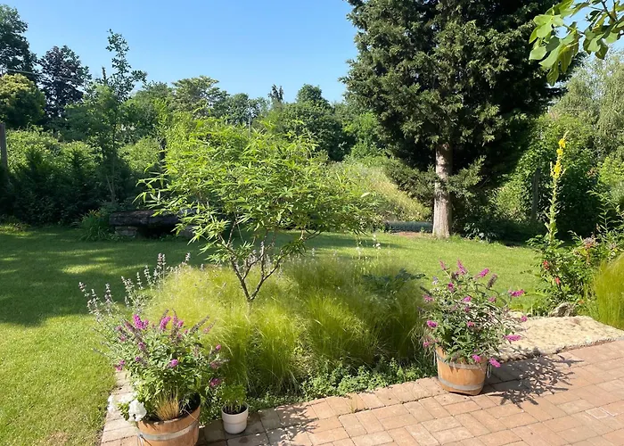 Two Pines Summer House In Tihany, Sajkod Casa de Férias Tihany
